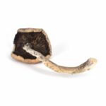 B+ Magic Mushrooms