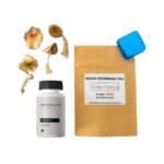 Top 5 Mushroom Grow Kits
