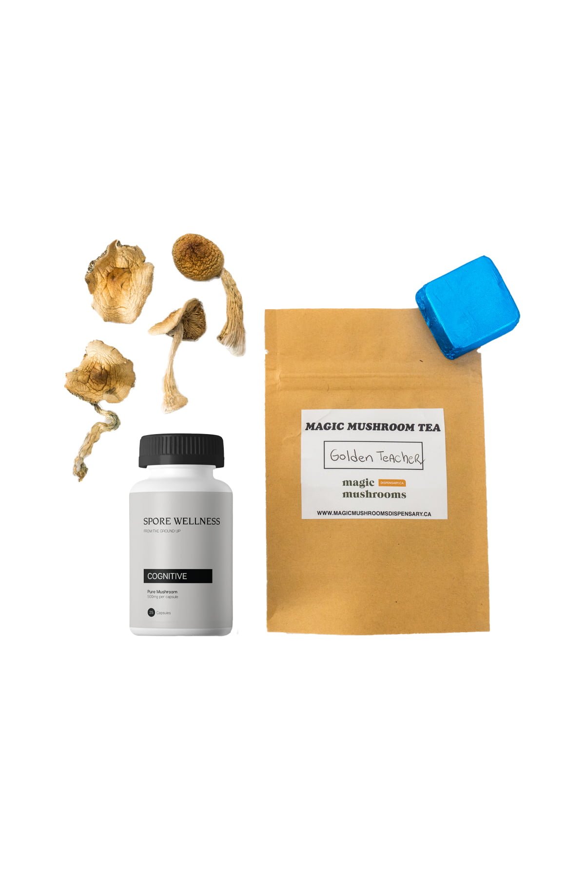 First-Timer-Magic-Mushroom-Kit-Psych-101 Top 5 Mushroom Grow Kits