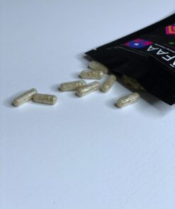 Shafaa Evolve Magic Mushroom Microdosing Prime Capsules