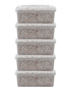 5 Magic Mushroom grow kit Discount Pack - MycoMate®