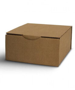 golden-teacher-mondo-magic-mushroom-kit-box-xl_10