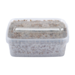 mycelbox_pi_2_7