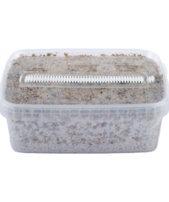mycelbox_pi_2_7