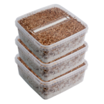 Three Extra Large Magic Mushroom Grow Kits Package deal