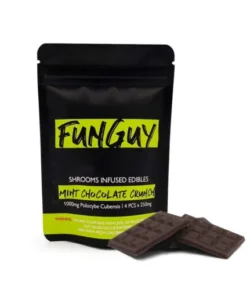 funguy mushrooms