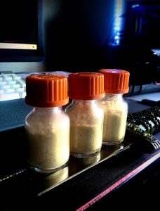 Fungi Psilocybin Mushroom