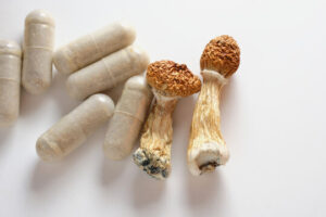 Buy Microdosing Mushroom Capsules in Florida 2025 - Fungi Psilocybin Mushroom Buy Microdosing Mushroom Capsules