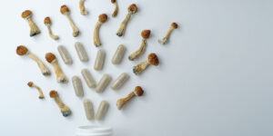 Golden Teacher Mushrooms for Depression and Anxiety Relief 5 or more reasons - Fungi Psilocybin Mushroom Golden Teacher Mushrooms