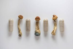 Buy Microdosing Mushroom Capsules in Florida 2025 - Fungi Psilocybin Mushroom Buy Microdosing Mushroom Capsules