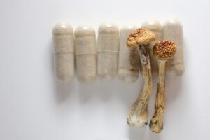 Buy Microdosing Mushroom Capsules in Florida 2025 - Fungi Psilocybin Mushroom Buy Microdosing Mushroom Capsules