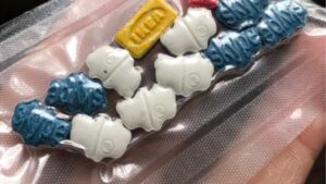 Buy Ecstasy Pills Online – Trusted, Fast & Discreet 250mg - Fungi Psilocybin Mushroom Buy Ecstasy Pills Online