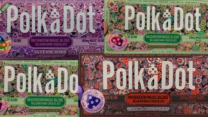 Where to Buy PolkaDot Mint Chocolate Chip1000mg Online Safely and Discreetly - Fungi Psilocybin Mushroom Fungi Psilocybin Mushroom