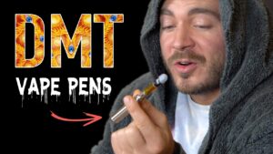 Where Can I Buy DMT Carts in the USA 2mg - Fungi Psilocybin Mushroom Buy Dmt Carts