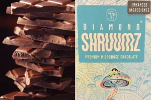 Your Ultimate Guide to Microdosing Psilocybin Chocolate Bars for Mood, Focus, and Clarity - Fungi Psilocybin Mushroom Microdosing Psilocybin Chocolate Bars