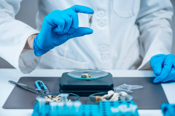 buy psilocybin mushroom capsules