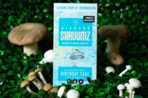 Your Ultimate Guide to Microdosing Psilocybin Chocolate Bars for Mood, Focus, and Clarity - Fungi Psilocybin Mushroom Microdosing Psilocybin Chocolate Bars