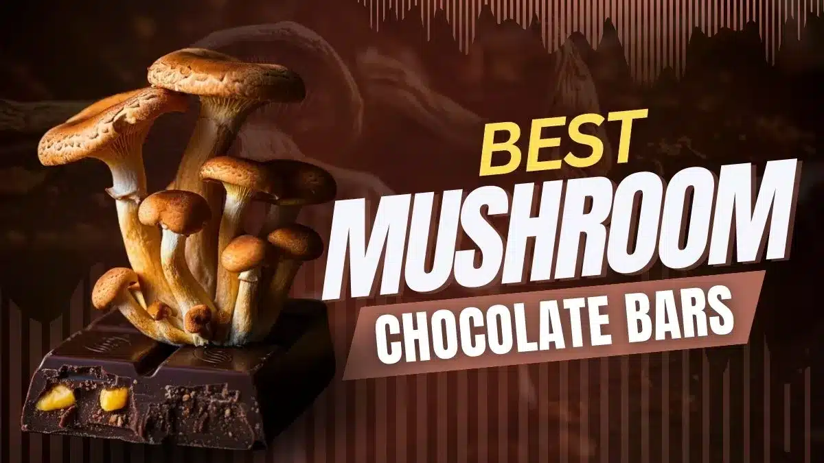 Buy FunGuy Shroom Cookies & Cream Bar
