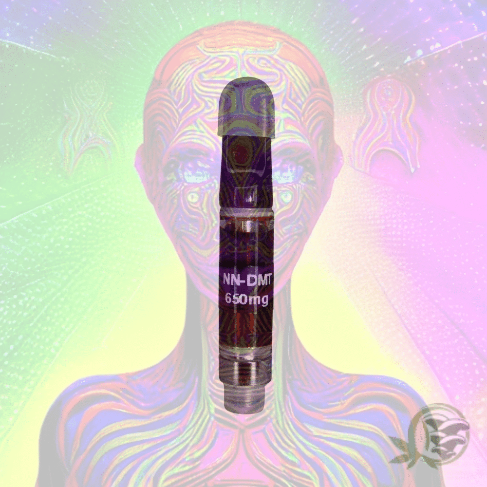 What does 5-MeO-DMT do to your brain