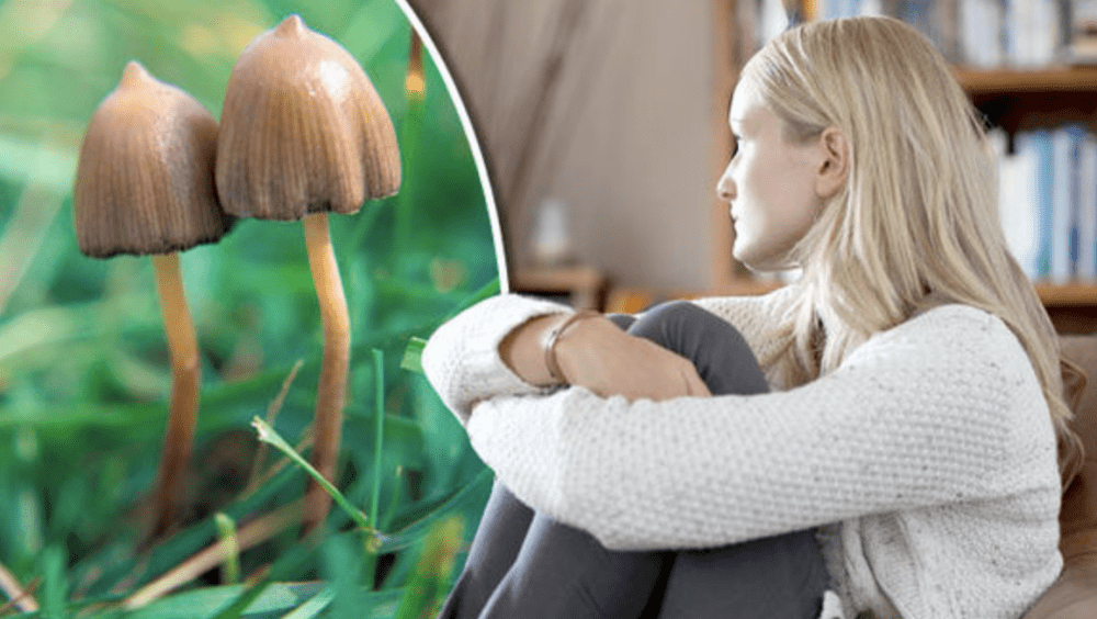 mushrooms for anxiety relief