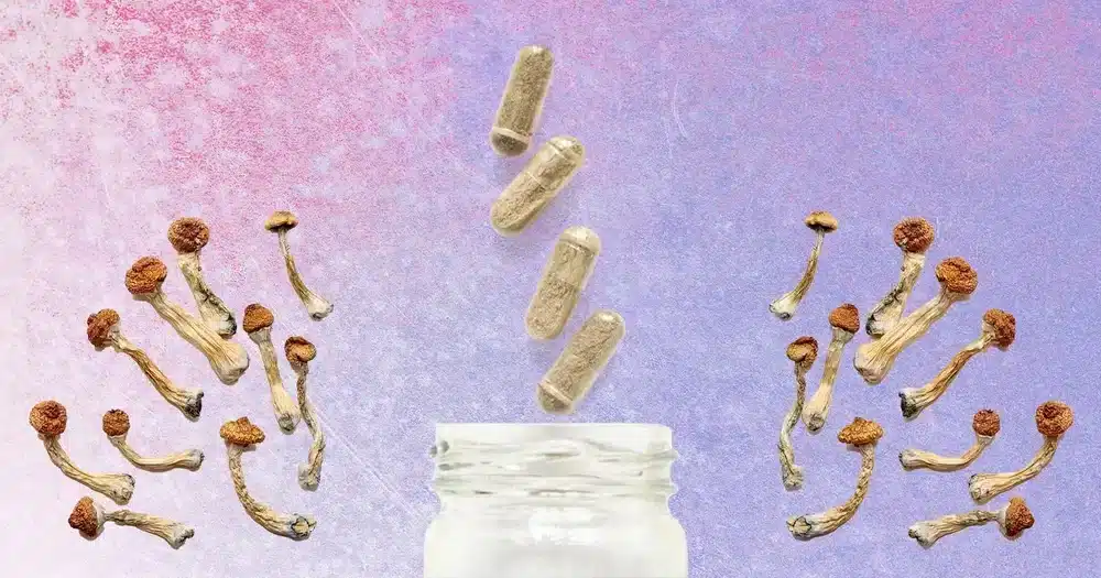 Microdosing magic mushrooms