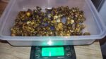 Mexicana Magic Truffles - Image 4