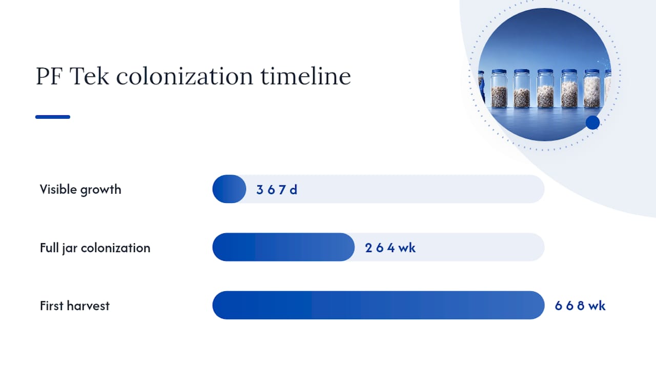 Pf Tek Colonization Timeline