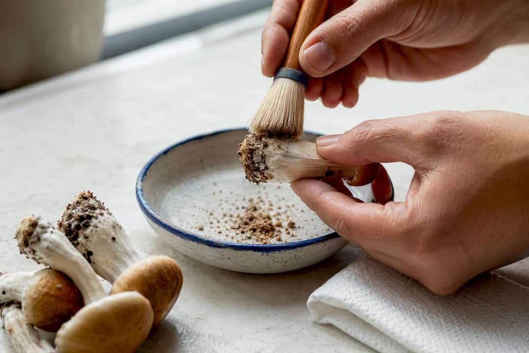 Hands Brushing Substrate From Mushroom Stems