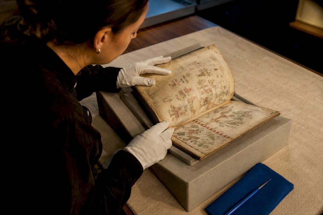 Conservator Examining An Historic Illustrated Codex