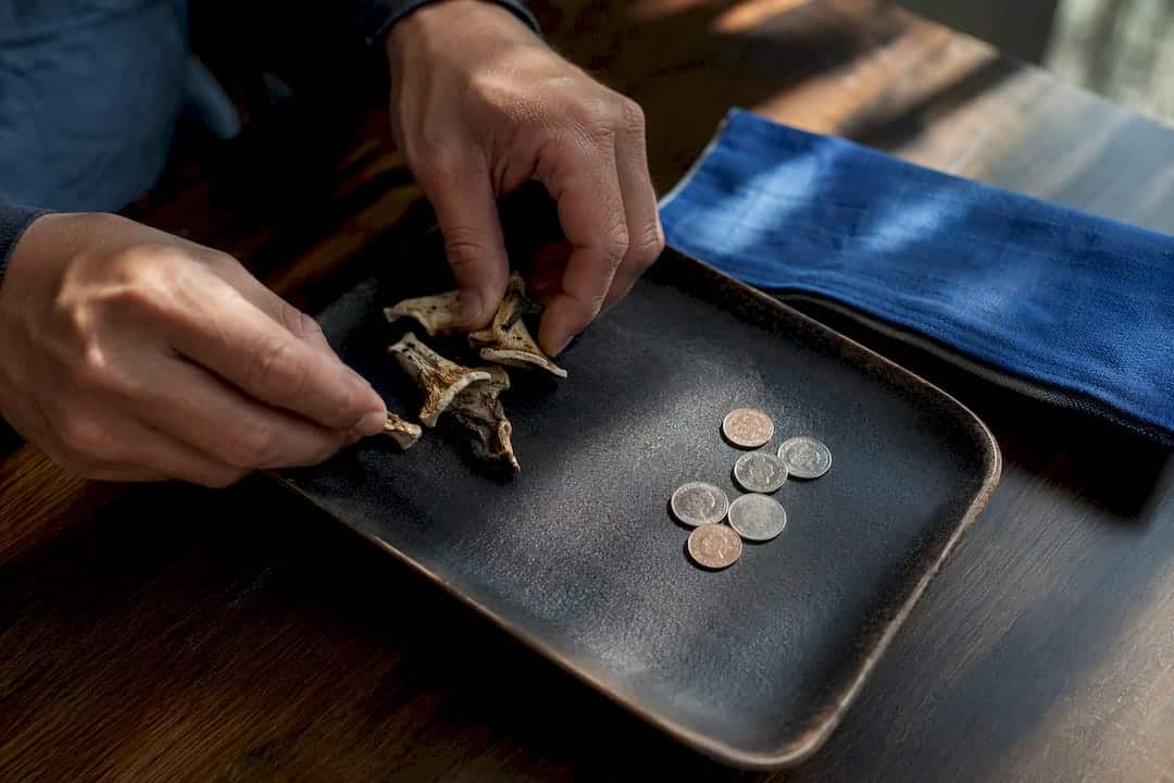 Mushroom fragments and coins showing session cost