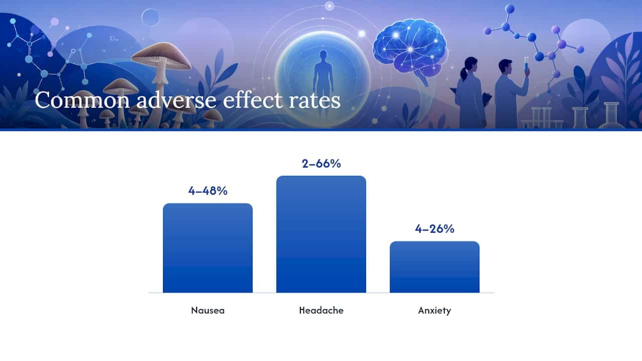What Does Psilocybin Toxicity Actually Look Like? — Overview Diagram
